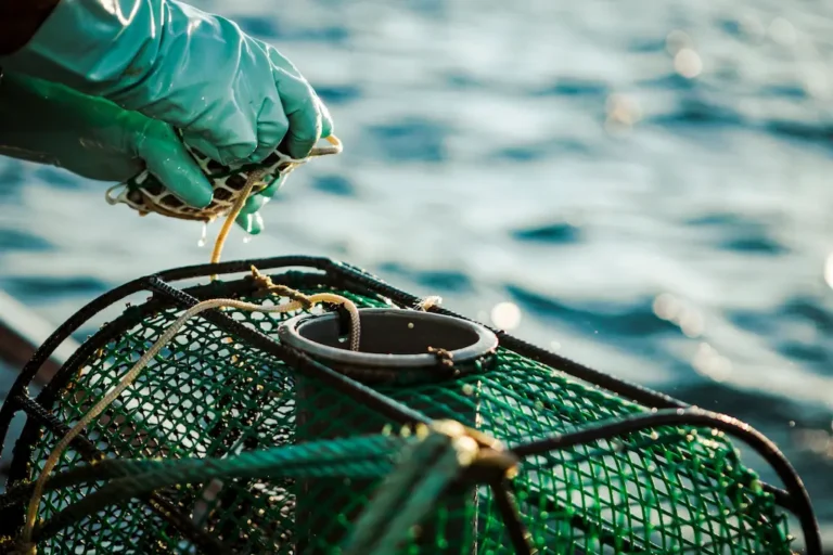 La pesca artesanal en la Isla de Ons: una herencia viva de tradición y sustento