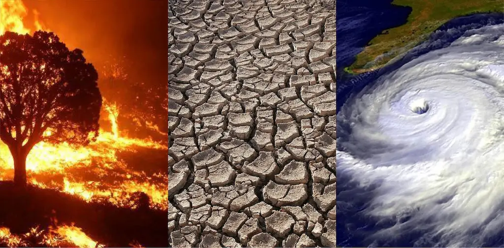 impacto climatico isla de ons