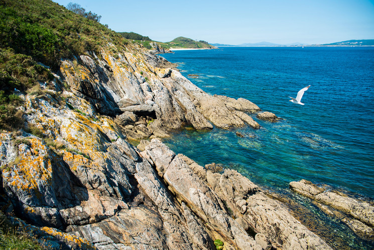 El Papel de la Isla de Ons en la Investigación Científica